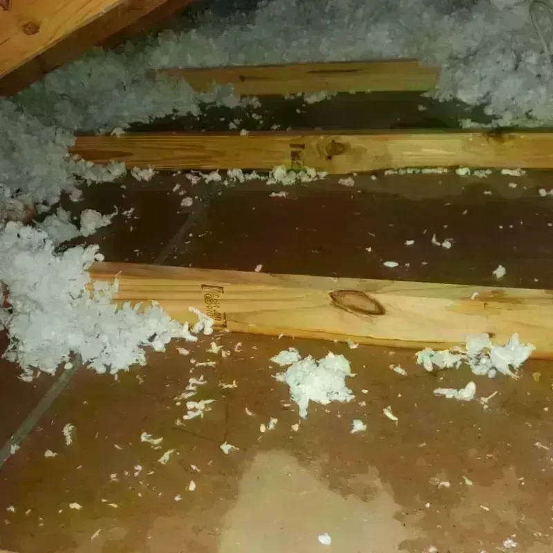 Attic Water Damage in Toulon, IL